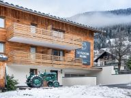 Chalet-appartement Le Flocon Blanc-19