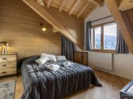 Chalet-appartement Le Saphir premium-3