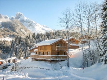 Chalet Alpendorf Dachstein-West Gamsblume-1