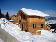 Chalet Alpendorf Dachstein-West Gamsblume-17