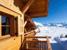 grote chalets wintersport vrienden familie