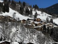 Chalet-appartement AlpenParks Rehrenberg Alpine-21