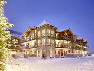 Chalet-appartement Wildkogelresorts Penthouse Type IIIa-27