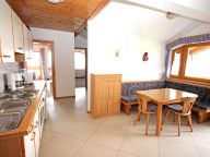 Chalet-appartement Voithofer Top 1-5