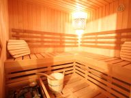 Chalet-appartement Lena Top 2 met sauna-3