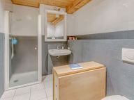 Chalet-appartement Blue Wood-14