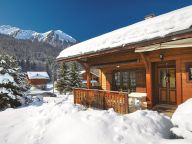 Chalet Le Bazot-20